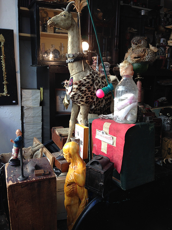 shop_02